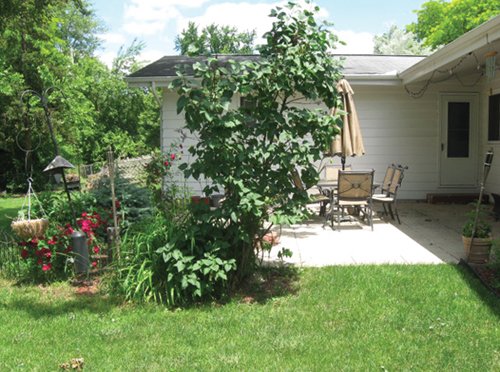Property photo 28 - 3 Bedroom Ranch on Basement - Foster Park Area
